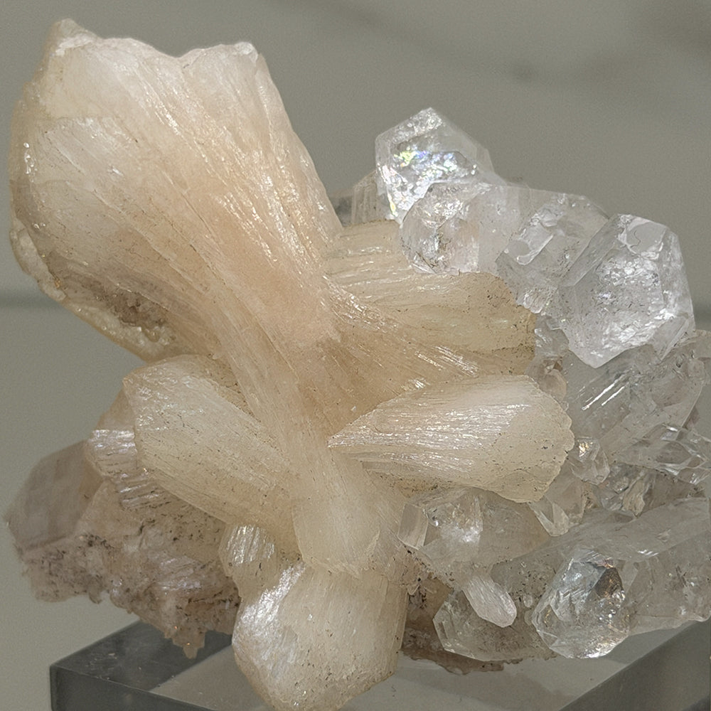 Estilbita con apofilita