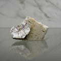 Mica moscovita con Ortosa