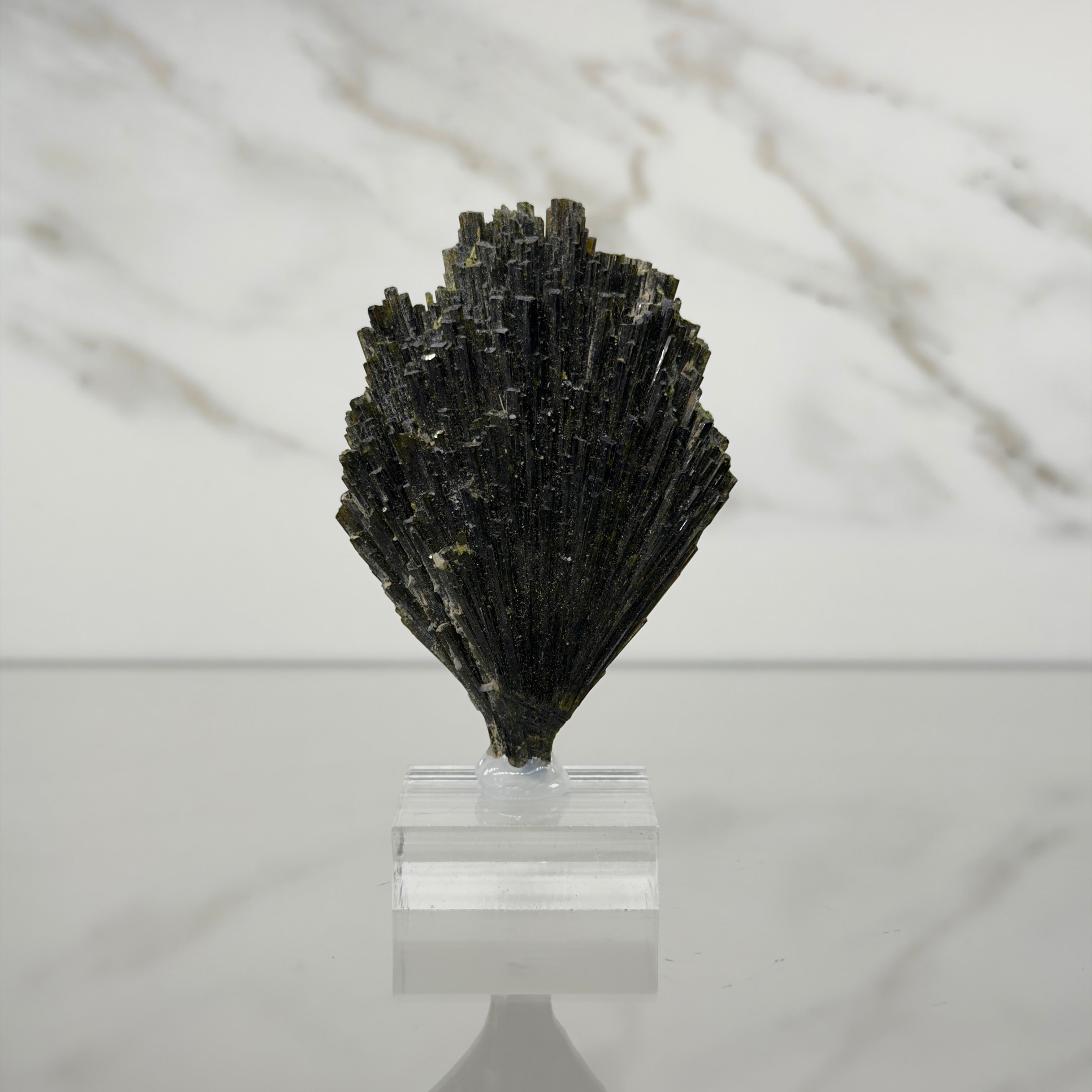 Epidota