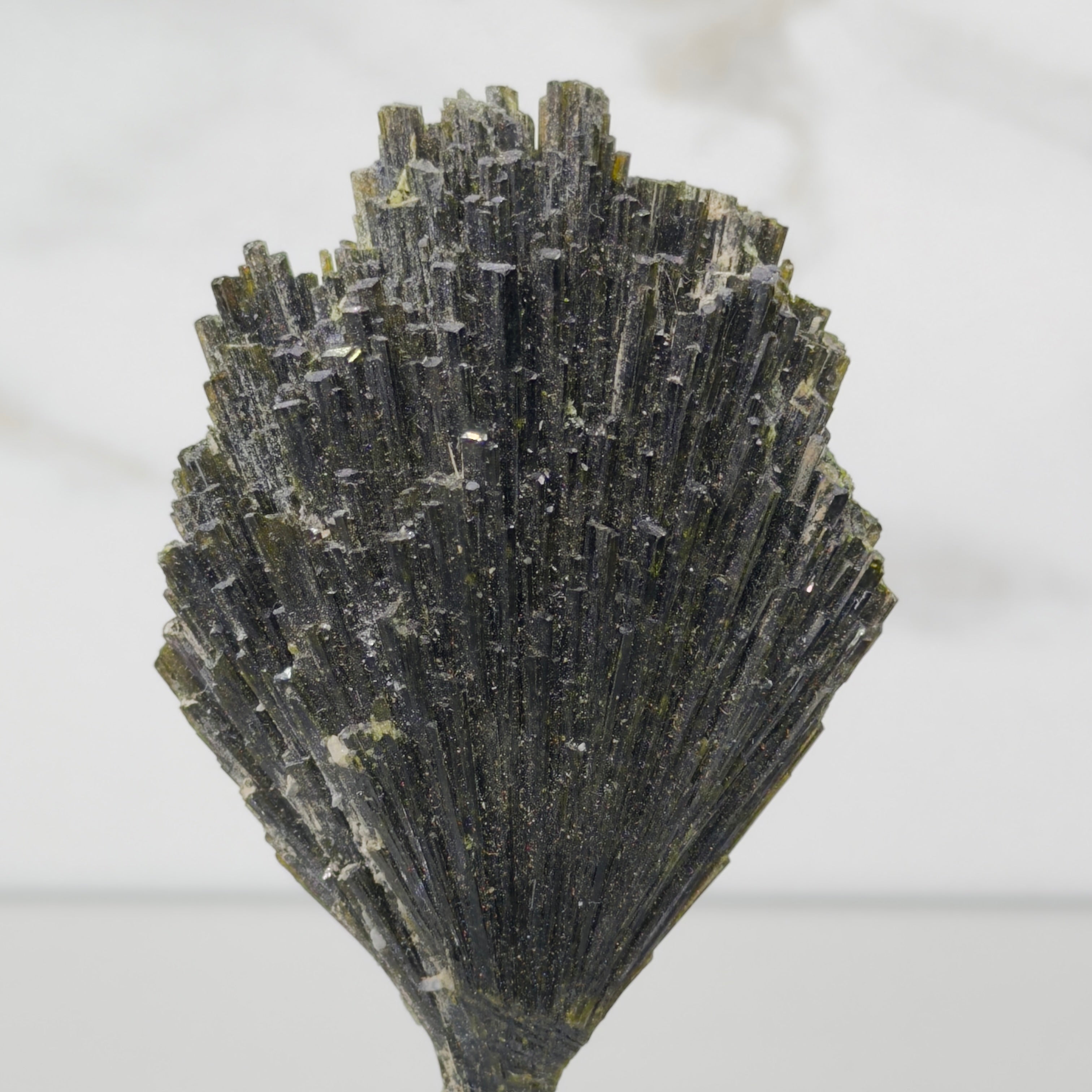 Epidota