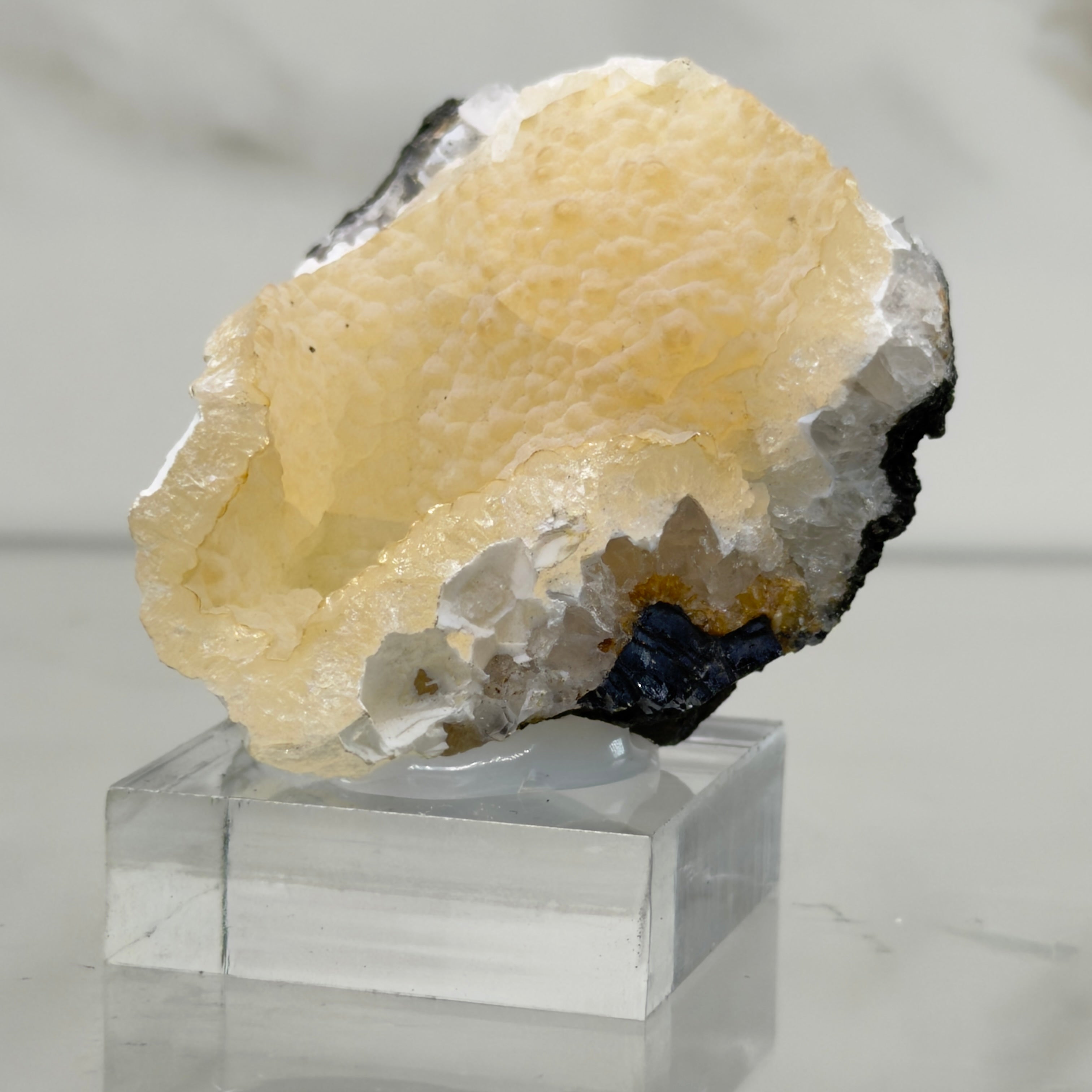 Calcedonia