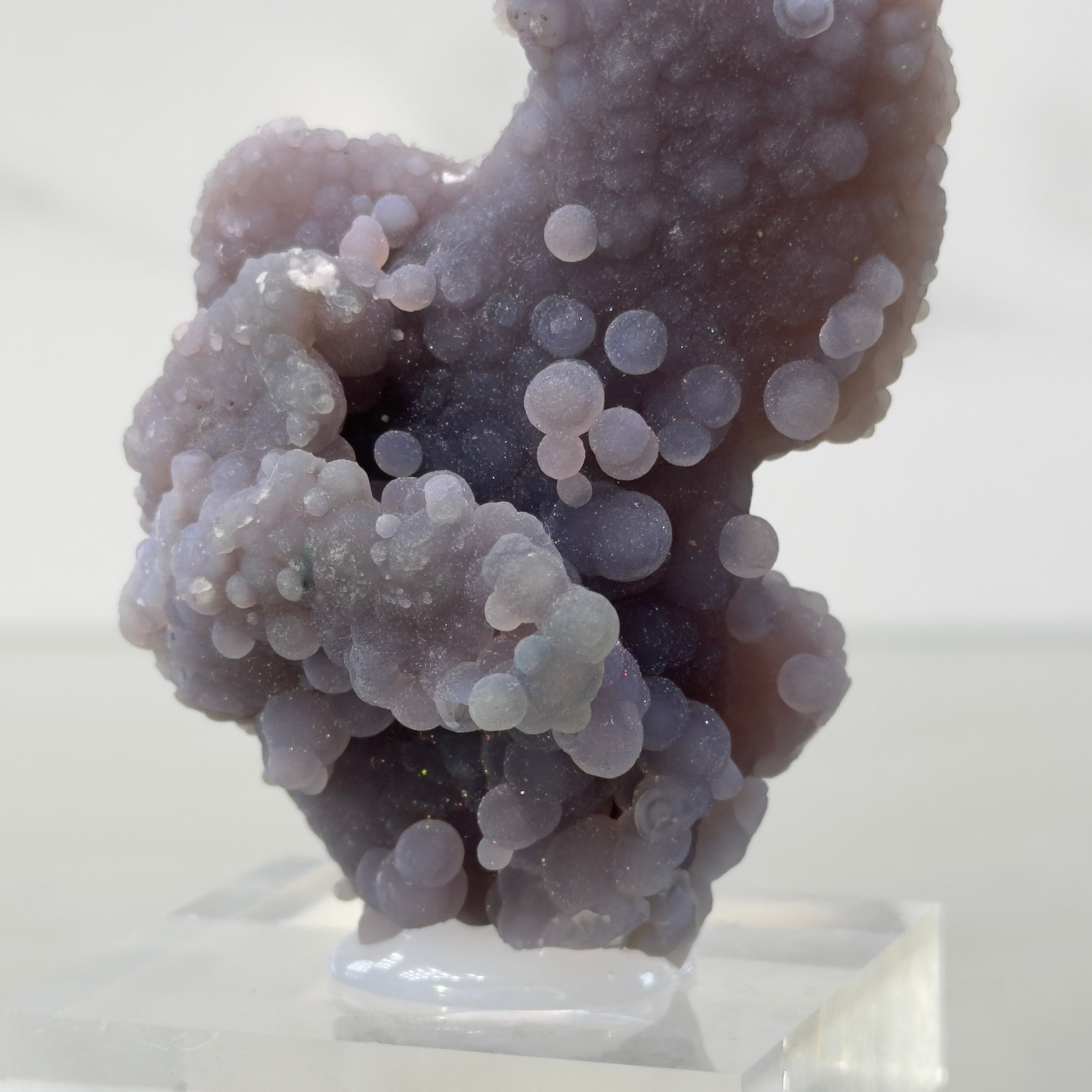 Calcedonia uva